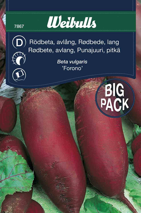 Rødbeter, lang  'Forono' stor pakke